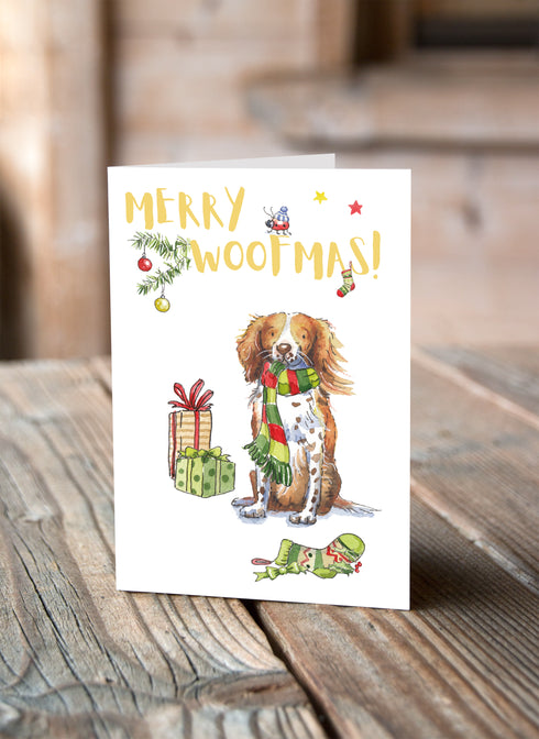 Sprocker Red & White Christmas Card